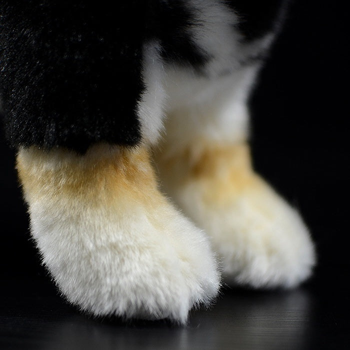 Close-up of Black & Tan Shiba Inu plush toy paws with soft fur and realistic tan markings