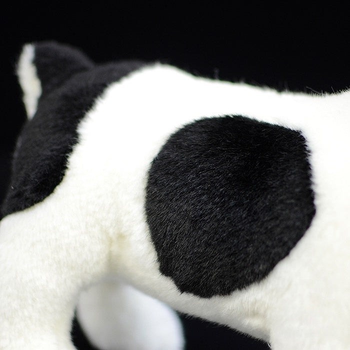 Zoomed-in view of a black spot on the plush toy, showing its realistic pied pattern and texture