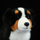 Close-up of a Bernese Mountain Dog plush toy’s face with realistic fur and charming details