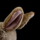 Close-up of brown hare rabbit plush toy’s soft and detailed ears, crafted for a realistic touch