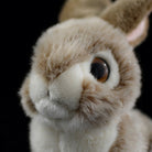 Close-up of brown hare rabbit plush toy’s face, showcasing its lifelike eyes and adorable features
