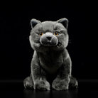 Front view of lifelike British Blue Shorthair plush toy with realistic details by SoftDaysLab, perfect gift