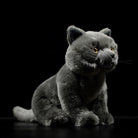 Side view of a realistic British Blue Shorthair plush cat toy, showcasing lifelike fur and design