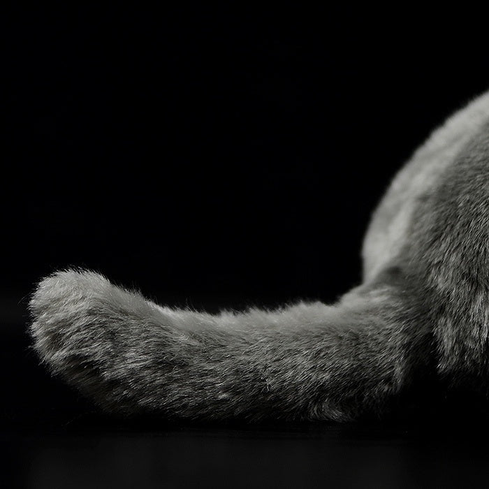 Close-up of the tail of British Blue Shorthair plush toy, showcasing its fluffy, lifelike design