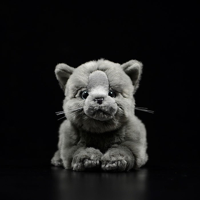 Front view of British Blue Shorthair Cat plush toy with realistic details and soft texture by SoftDaysLab