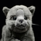 Back view of British Blue Shorthair Cat plush toy featuring a soft and cuddly finish by SoftDaysLab