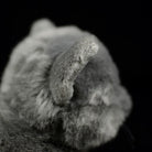 Detailed view of the British Blue Shorthair Cat plush toy’s ear and soft fur texture by SoftDaysLab