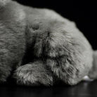 Close-up of British Blue Shorthair Cat plush toy’s fluffy paw, designed for realistic softness by SoftDaysLab