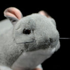 Close-up of a SoftDaysLab chinchilla plush toy's face, highlighting its realistic features and soft fur