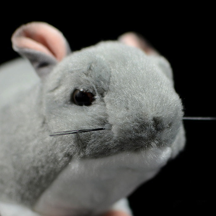 Close-up of a SoftDaysLab chinchilla plush toy's face, highlighting its realistic features and soft fur