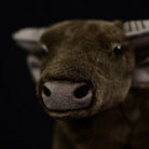 Close-up of a water buffalo plush toy's face, featuring realistic eyes and soft material