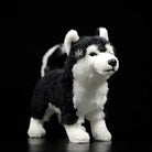 Lifelike Siberian Husky plush toy by SoftDaysLab, featuring a realistic black-and-white design, perfect for dog lovers