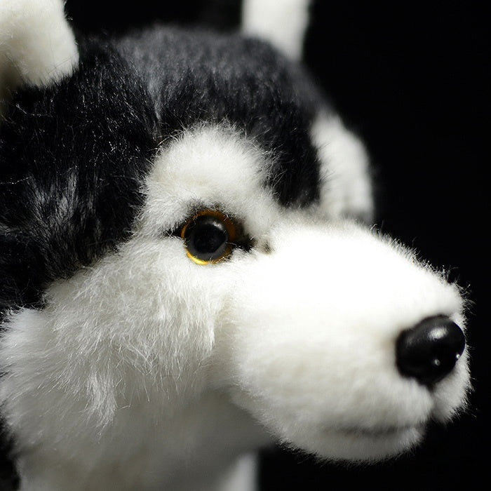 Close-up of the Siberian Husky plush toy’s face, showcasing detailed craftsmanship and lifelike design by SoftDaysLab