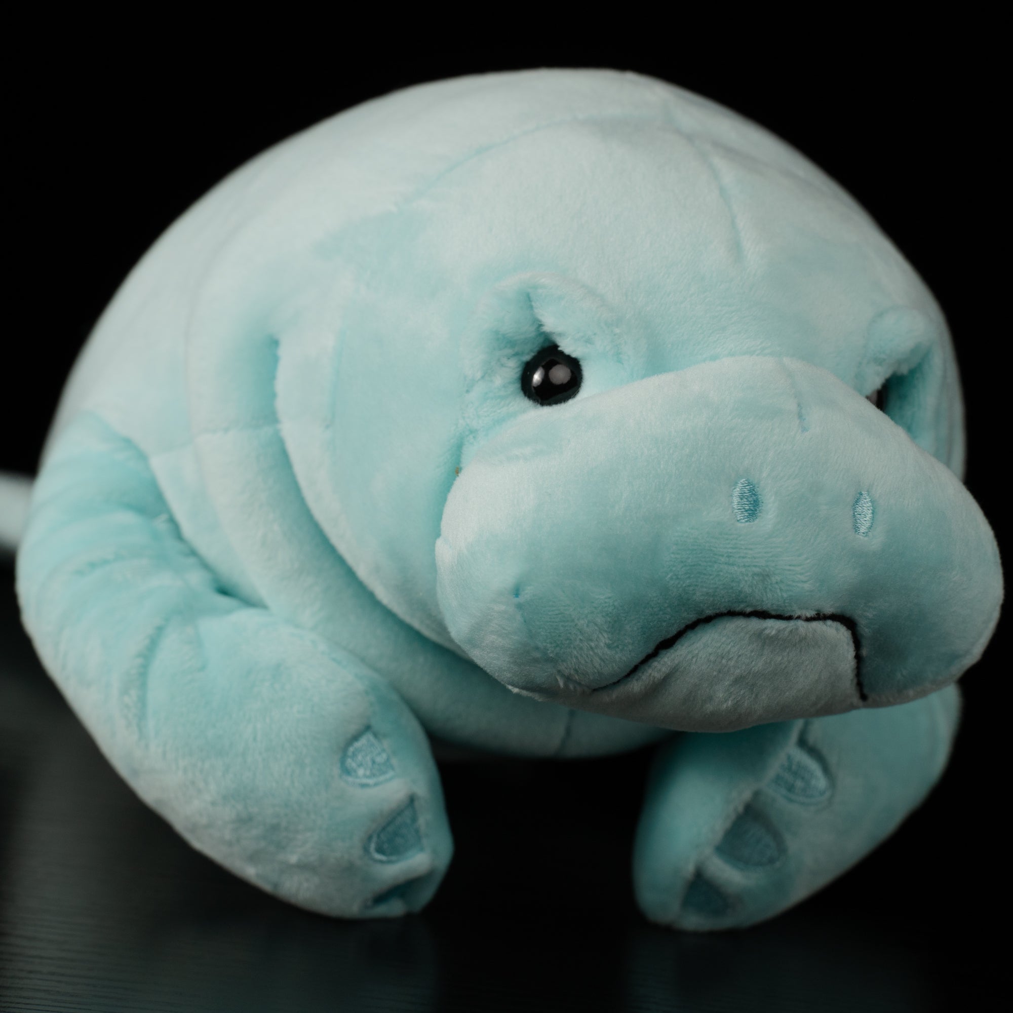 Close-up of the manatee plush face by SoftDaysLab®, showcasing realistic eyes and detailed stitching