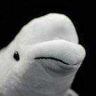 Close-up of a beluga whale plush toy's face, highlighting its adorable smile and lifelike design