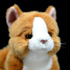 Close-up of Orange Tuxedo Cat plush toy’s adorable face, featuring lifelike whiskers by SoftDaysLab