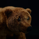 Close-up of a brown bear plush head with detailed eyes, nose, and soft textured fur