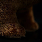 Close-up of the paw of a brown bear plush toy, emphasizing the soft and realistic texture