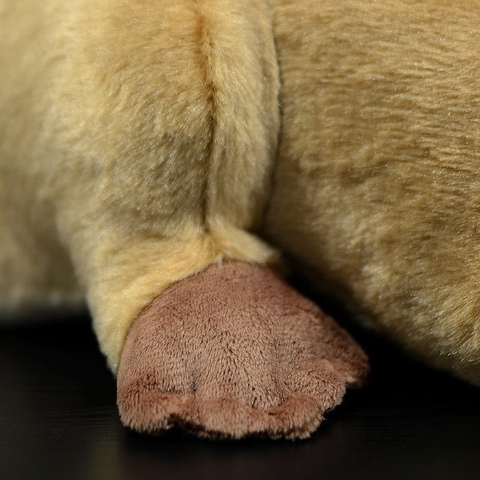 Close-up of the detailed paw of a realistic beaver plush toy with soft materials by SoftDaysLab