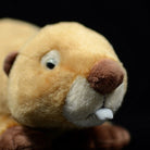 Adorable close-up of the beaver plush toy’s face, featuring its cute nose and teeth, crafted by SoftDaysLab