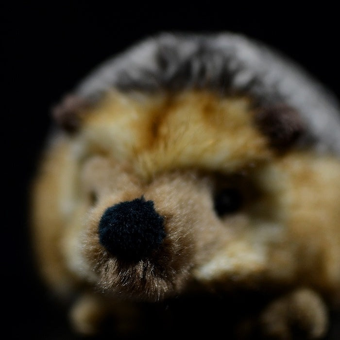Close-up of a lifelike hedgehog plush toy's face, featuring realistic and adorable details