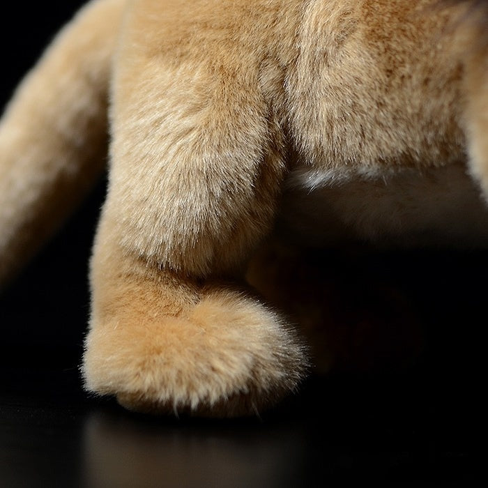 Close-up of the plush lion’s paw, showcasing the soft, high-quality fabric used for a realistic touch