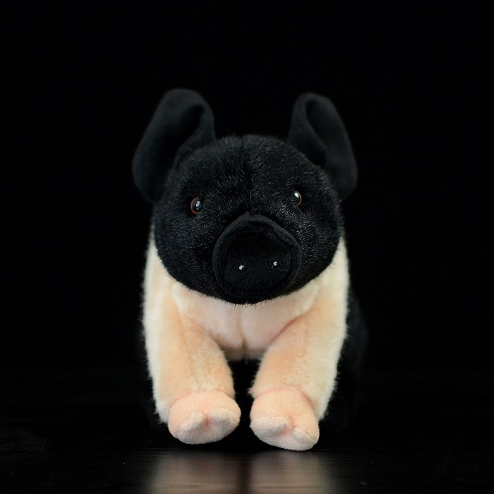 Front view of mini teacup pig plush showcasing realistic features and soft texture by SoftDaysLab