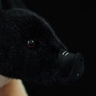 Close-up of plush pig's face, highlighting the realistic snout and soft black fur by SoftDaysLab
