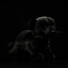 Side view of a lifelike black panther cub plush with soft fur, perfect for wildlife enthusiasts by SoftDaysLab