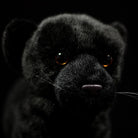 Close-up of a black panther plush face with lifelike eyes and soft fur, crafted for wildlife enthusiasts