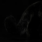Close-up of a black panther plush tail with a soft, curved design, perfect for wildlife-themed collections
