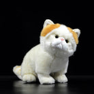Front view of a lifelike orange and white Exotic Shorthair cat plush toy by SoftDaysLab, perfect for cat enthusiasts
