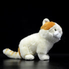 Side view of a realistic Exotic Shorthair cat plush in orange and white, featuring soft fur and detailed design