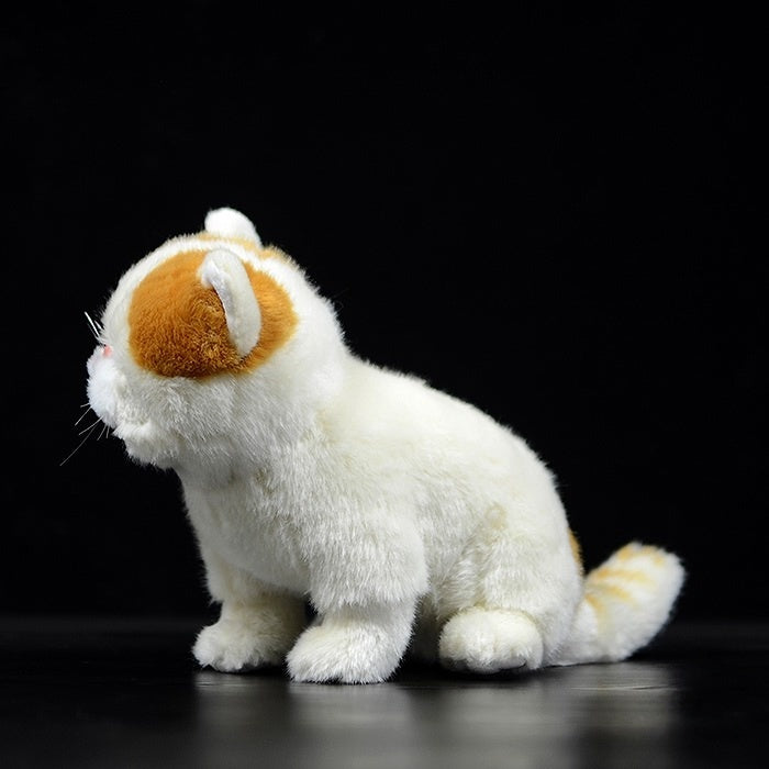 Side profile of an Exotic Shorthair cat plush toy, showcasing its realistic design and soft texture