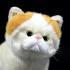 Close-up of the lifelike face of an orange and white Exotic Shorthair plush cat, crafted by SoftDaysLab