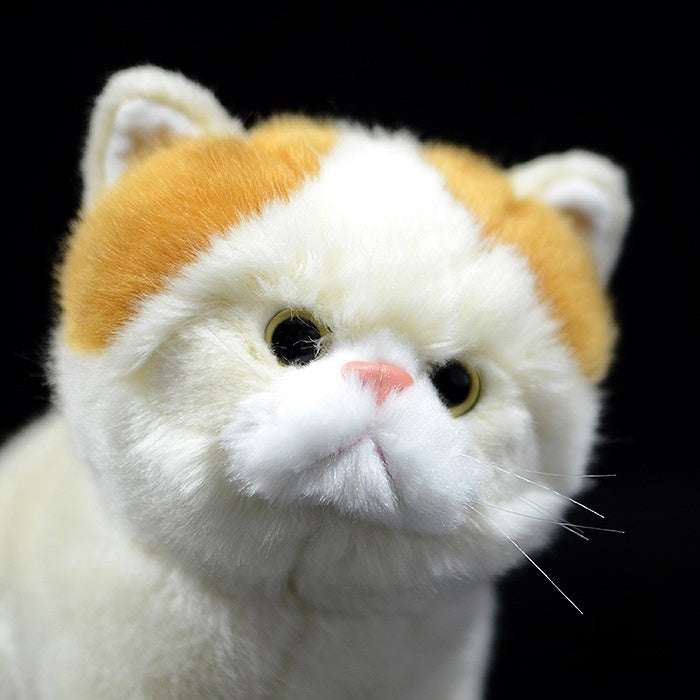 Close-up of the lifelike face of an orange and white Exotic Shorthair plush cat, crafted by SoftDaysLab