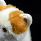 Detailed close-up of the orange fur pattern on the Exotic Shorthair cat plush toy, highlighting its realistic texture