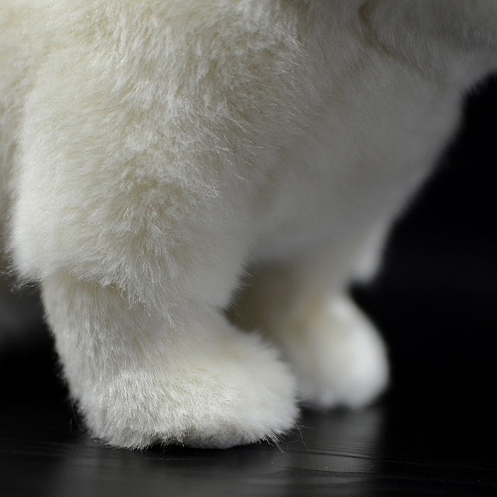 Close-up of the soft, furry paws of the Exotic Shorthair plush cat, made with high-quality materials by SoftDaysLab