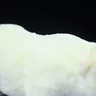 Detailed shot of the polar bear plush toy's back, showcasing the smooth and fluffy white fur