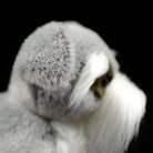 Detailed view of Salt and Pepper Miniature Schnauzer plush toy’s ear, crafted with soft materials by SoftDaysLab