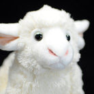 Close-up of the sheep plush's face, showcasing its cute and lifelike woolly texture