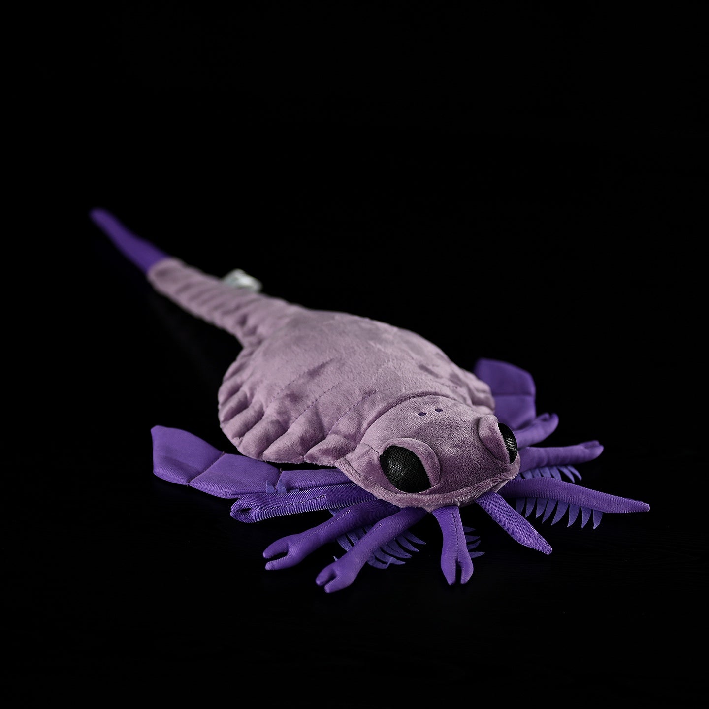 Carcinosoma eurypterid plush toy by SoftDaysLab, front angle of a lifelike prehistoric sea scorpion replica