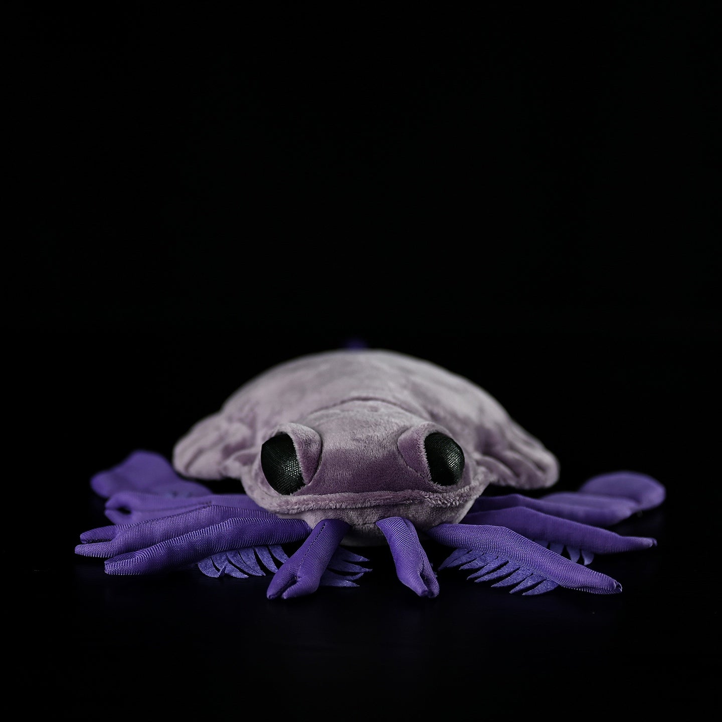 Front close-up view of SoftDaysLab Carcinosoma plush, capturing its lifelike eyes and detailed spined legs