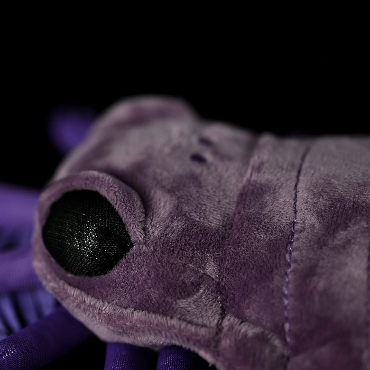 Detailed close-up of the SoftDaysLab Carcinosoma plush toy's eye, inspired by prehistoric eurypterids