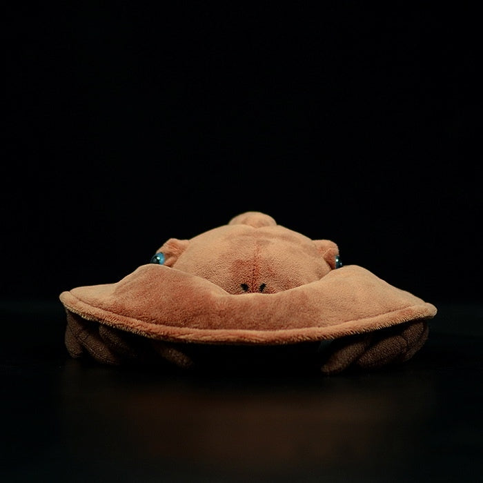 Front view of the Chinese horseshoe crab plush toy highlighting its lifelike body shape by SoftDaysLab