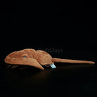 Realistic Chinese Horseshoe Crab Plush Toy – Soft Marine Life Stuffed Animal