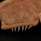 Realistic Chinese Horseshoe Crab Plush Toy – Soft Marine Life Stuffed Animal