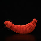 Ottoia Plush – Soft Stuffed Prehistoric Burrowing Worm Toy