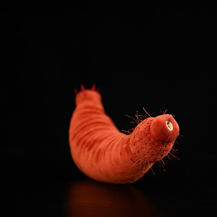 Ottoia Plush – Soft Stuffed Prehistoric Burrowing Worm Toy