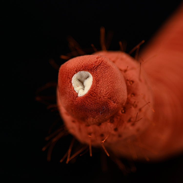 Ottoia Plush – Soft Stuffed Prehistoric Burrowing Worm Toy
